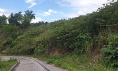 195 SQM Subdivision Lot for Sale in VISTA VERDE CONSOLACION CEBU