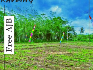 Tanah kavling surya regency
