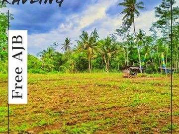 Tanah kavling surya regency