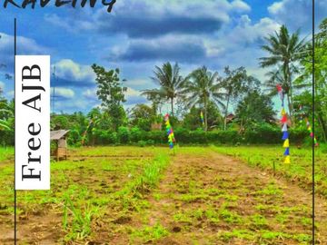 Tanah kavling surya regency