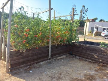 Hermosa Casa En Parcela Los Laureles