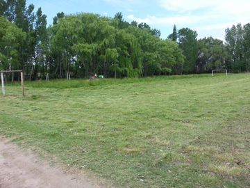 Finca 14 ha  - Cañada Seca - San Rafael- Mendoza