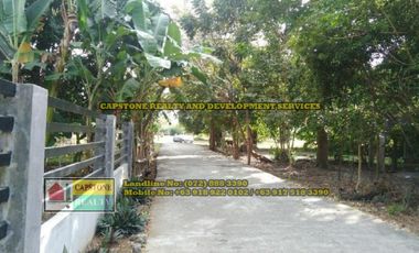 Titled Lot for Sale, Bacnotan, La Union