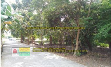 Titled Lot for Sale, Bacnotan, La Union