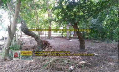 Titled Lot for Sale, Bacnotan, La Union