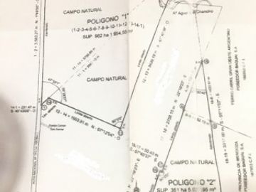 oportunidad! CAMPO DE 2000 HECTÃREAS EN SAN RAFAEL MENDOZA