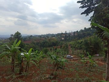 tanah kavling murah bandung di jatihandap harga promo 2 juta