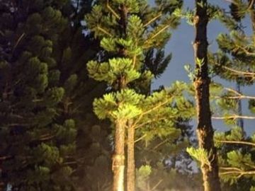 Persiapkan Masa Pensiun Anda dgn Investasi Villa 2LT di Cipanas Puncak