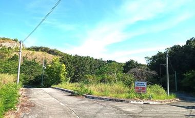 174 SQM SUBDIVISION Lot for Sale in Greenville Heights Consolacion Cebu
