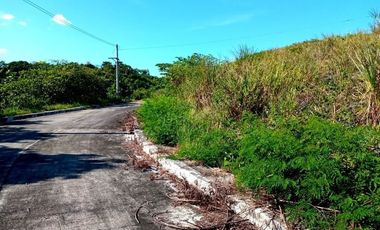 174 SQM SUBDIVISION Lot for Sale in Greenville Heights Consolacion Cebu