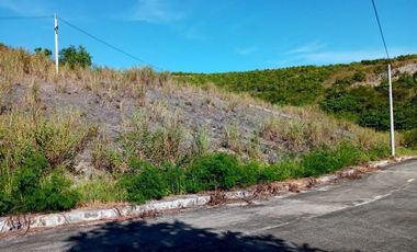 174 SQM SUBDIVISION Lot for Sale in Greenville Heights Consolacion Cebu