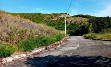 174 SQM SUBDIVISION Lot for Sale in Greenville Heights Consolacion Cebu