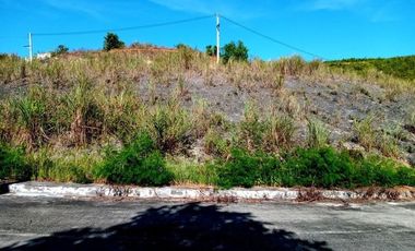 174 SQM SUBDIVISION Lot for Sale in Greenville Heights Consolacion Cebu