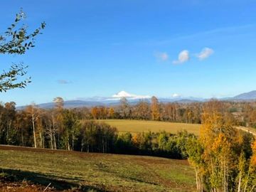 Última parcela Loncoche vista Volcán, a 2 km de Ruta 5 Sur