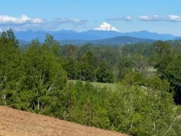 Última parcela Loncoche vista Volcán, a 2 km de Ruta 5 Sur