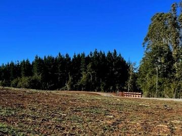 Última parcela Loncoche vista Volcán, a 2 km de Ruta 5 Sur