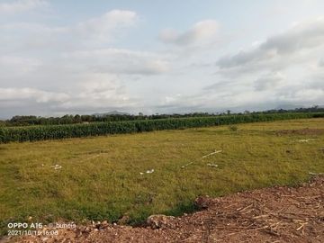 Tanah di Jenggawah Jember, Dekat Bandara Notohadinegoro