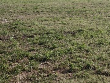 Parcela en venta en Calle Larga