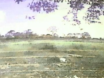 Tanah Strategis 2.9 Ha di Tapin, Kalimantan Selatan 3311