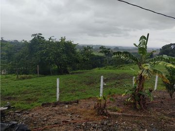 EXCELENTE RANCHO NUEVA GRANADA EN TAPACHULA CHIAPAS.