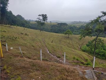 EXCELENTE RANCHO NUEVA GRANADA EN TAPACHULA CHIAPAS.
