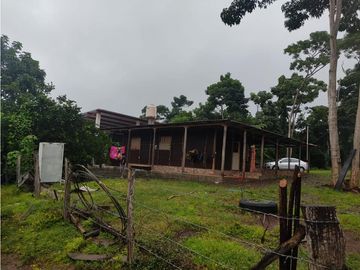 EXCELENTE RANCHO NUEVA GRANADA EN TAPACHULA CHIAPAS.