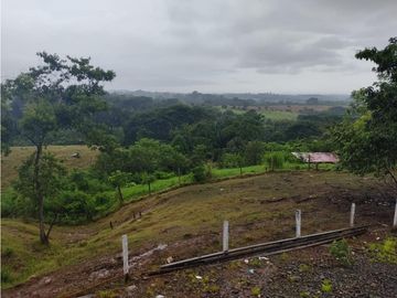 EXCELENTE RANCHO NUEVA GRANADA EN TAPACHULA CHIAPAS.