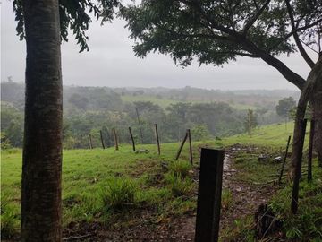EXCELENTE RANCHO NUEVA GRANADA EN TAPACHULA CHIAPAS.
