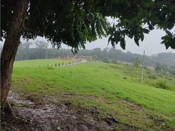 EXCELENTE RANCHO NUEVA GRANADA EN TAPACHULA CHIAPAS.