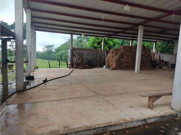 EXCELENTE RANCHO NUEVA GRANADA EN TAPACHULA CHIAPAS.