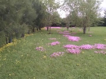 VENTA DE NEGOCIO INMOBILIARIO EN GUALEGUAY FUNCIONANDO | AMPLIO TERRENO