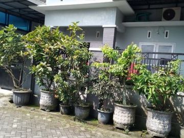 DIJUAL RUMAH MURAH SIAP HUNI DI PUSAT KOTA KEDIRI