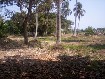 Terreno de 9,000 m² sobre carretera a la altura de tres vidas