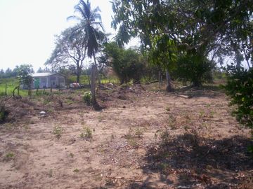Terreno de 9,000 m² sobre carretera a la altura de tres vidas