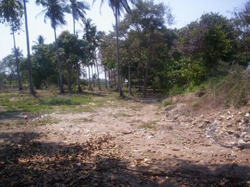 Terreno de 9,000 m² sobre carretera a la altura de tres vidas
