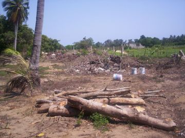 Terreno de 9,000 m² sobre carretera a la altura de tres vidas