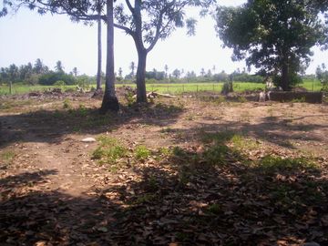 Terreno de 9,000 m² sobre carretera a la altura de tres vidas