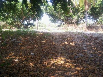 Terreno de 9,000 m² sobre carretera a la altura de tres vidas