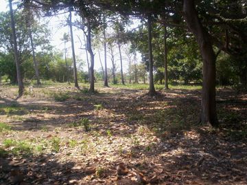Terreno de 9,000 m² sobre carretera a la altura de tres vidas