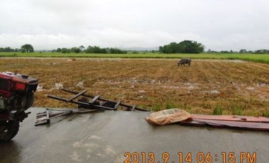Rush sale Titled Farm lot in Pangasinan