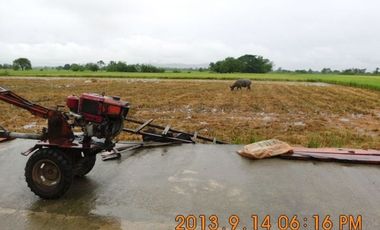 Rush sale Titled Farm lot in Pangasinan