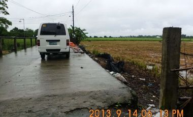 Rush sale Titled Farm lot in Pangasinan