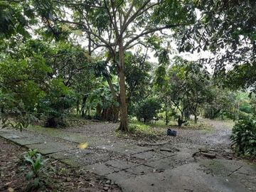 Tanah diJual di Jalan Raya Bogor-Parung. Luas & Strategis