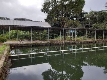 Tanah diJual di Jalan Raya Bogor-Parung. Luas & Strategis