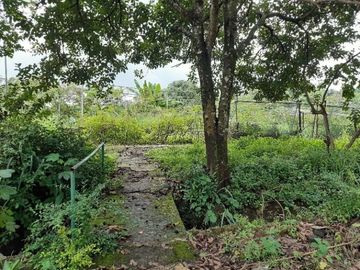 Tanah diJual di Jalan Raya Bogor-Parung. Luas & Strategis
