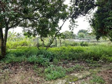 Tanah diJual di Jalan Raya Bogor-Parung. Luas & Strategis