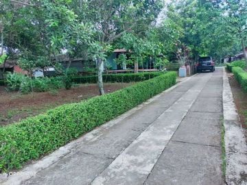 Tanah karanganyar dekat kota 100m 75jt
