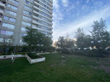 GOYCOLEA / GRAN AVENIDA