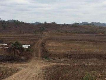 Vendo finca agrícola en Balzar 916.4 hectáreas dotada de sistema de riego de primer orden