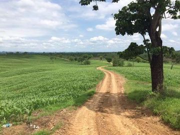 Vendo finca agrícola en Balzar 916.4 hectáreas dotada de sistema de riego de primer orden